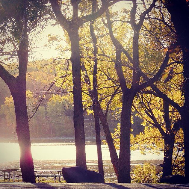 Fall Colors - @yoga.gal